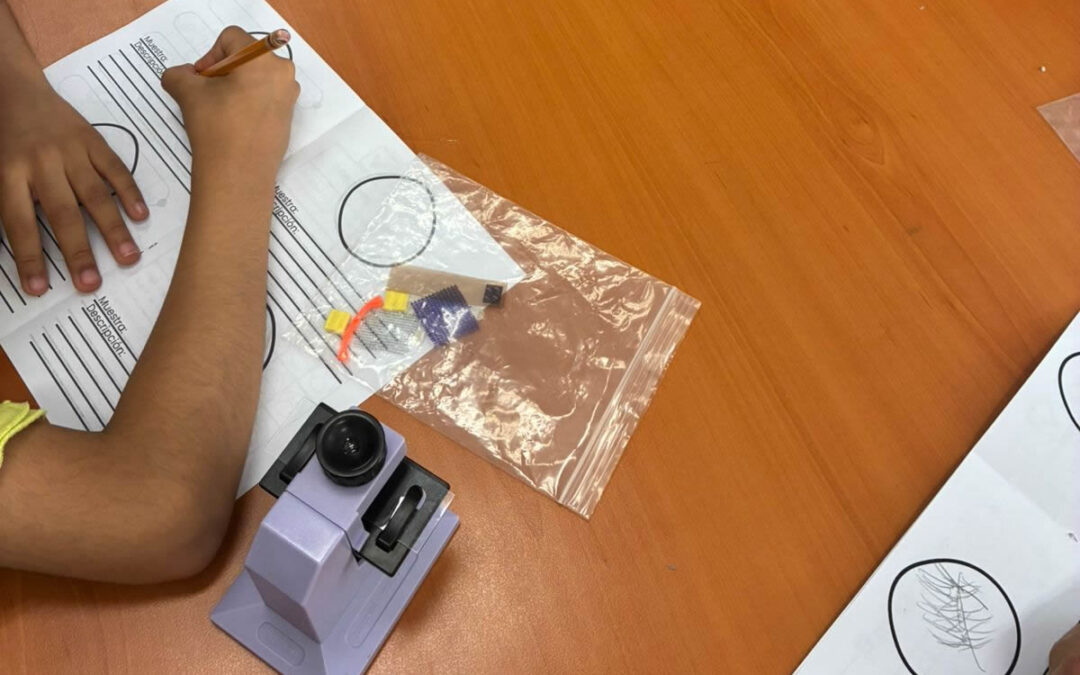 Taller STEAM: Micromundos en la Biblioteca