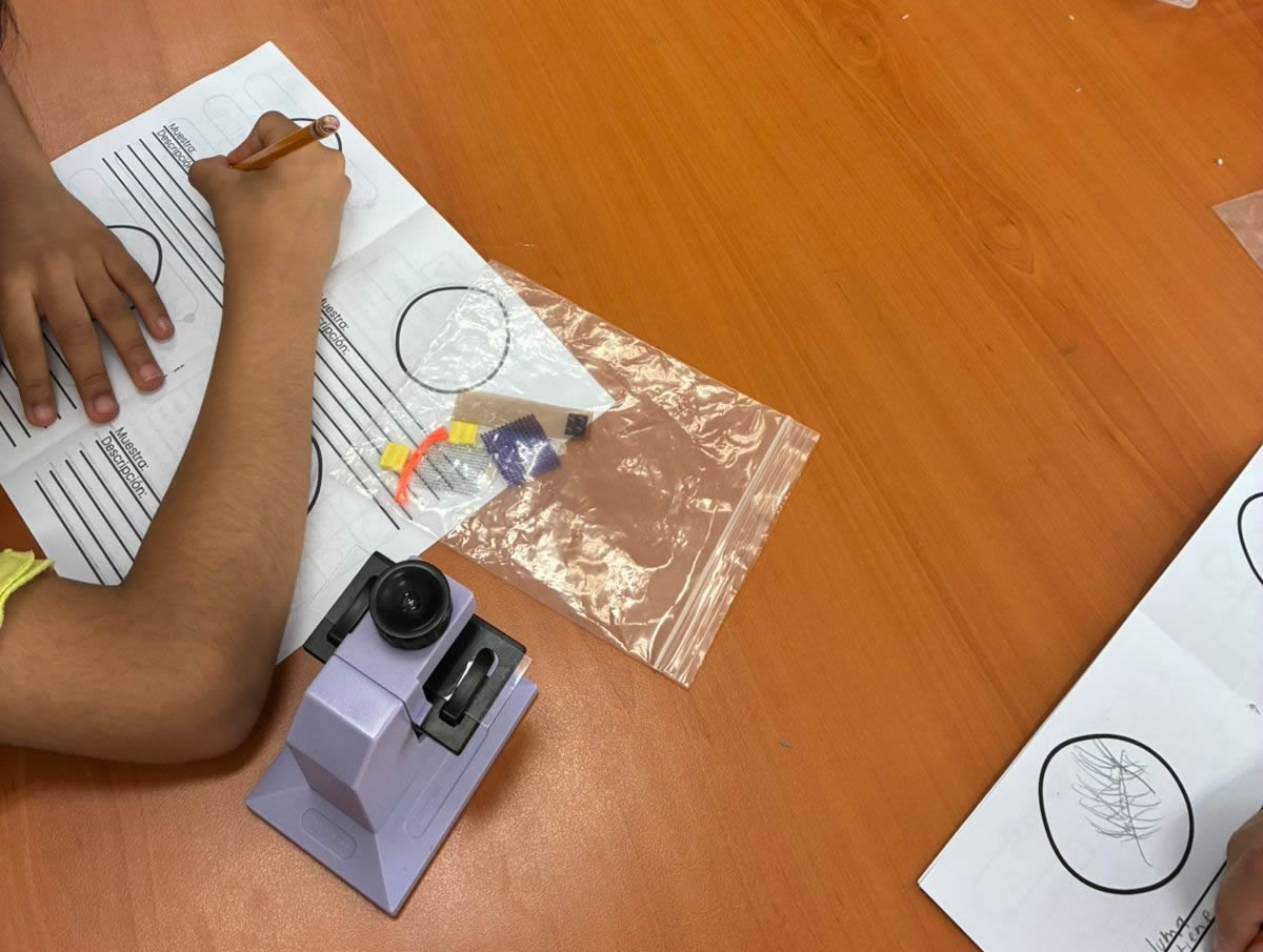 Taller STEAM: Micromundos en la Biblioteca